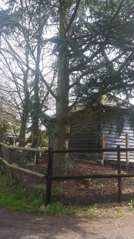 Latchmead Bed&Breakfast Stansted Mountfitchet Exterior foto